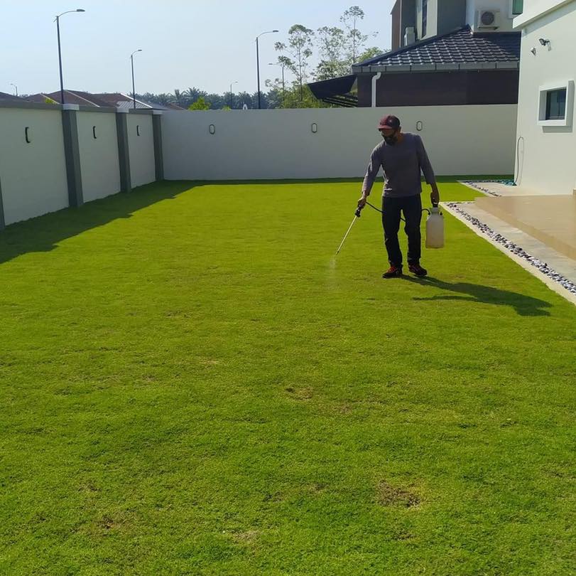 After lawn care