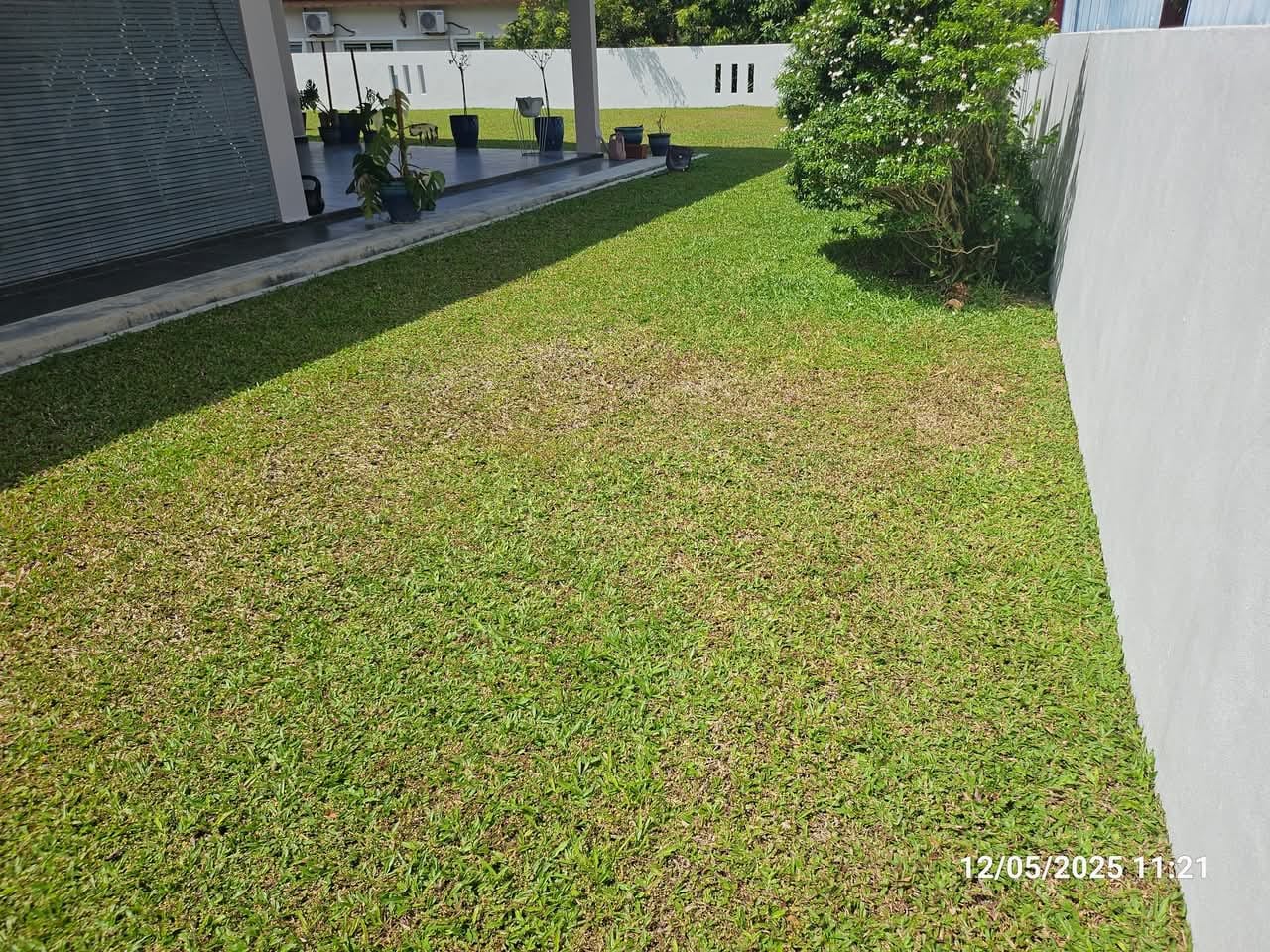 Before lawn care