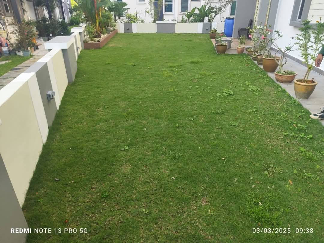 Before lawn care