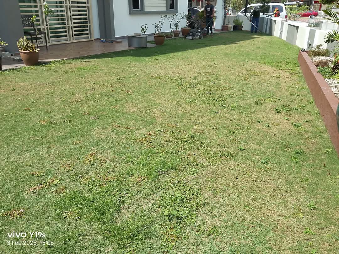 Before lawn care