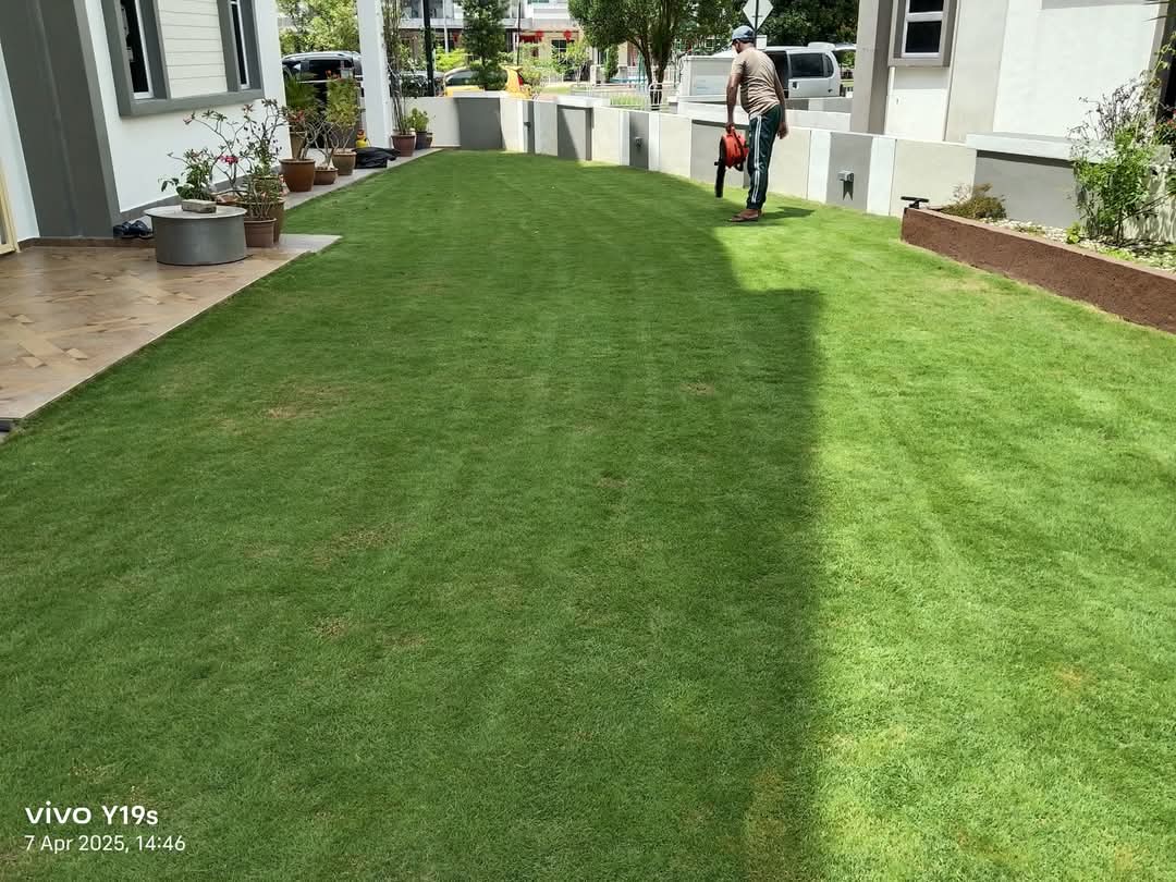 After lawn care