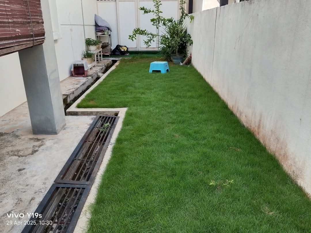 After lawn care