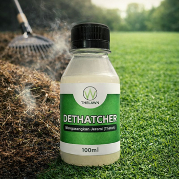 Dethatcher